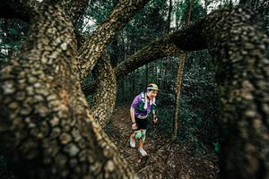 BIB: 
                            <button type="button" onclick="openModal(25393246)" class="btn btn-primary btn-sm float-right btn-popup" data-toggle="modal" data-target=".modal-high-quality">
                        <i class="fas fa-shopping-cart"></i> Add to Cart
                    </button>
                                            <button type="button" onclick="isThisMe(25393246, true)" class="btn btn-success btn-sm float-right btn-popup btn-isme hidden" data-toggle="tooltip" data-placement="bottom" title="นี่คือรูปของคุณใช่ไหม คลิกที่นี่เพื่อเอาเข้าอัลบั้ม">
                        <i class="fas fa-plus"></i> Add to album
                    </button>
                    <button type="button" onclick="isThisMe(25393246, false)" class="btn btn-warning btn-sm float-right btn-popup btn-isnotme hidden">
                        <i class="fas fa-ban"></i> Remove from album
                    </button>